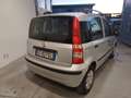 Fiat Panda Panda 1.2 Dynamic Mamy Gris - thumbnail 7