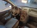 Fiat Panda Panda 1.2 Dynamic Mamy Gris - thumbnail 6