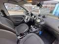 smart forFour forfour 66 kw passion cool&media pano navi park Weiß - thumbnail 6