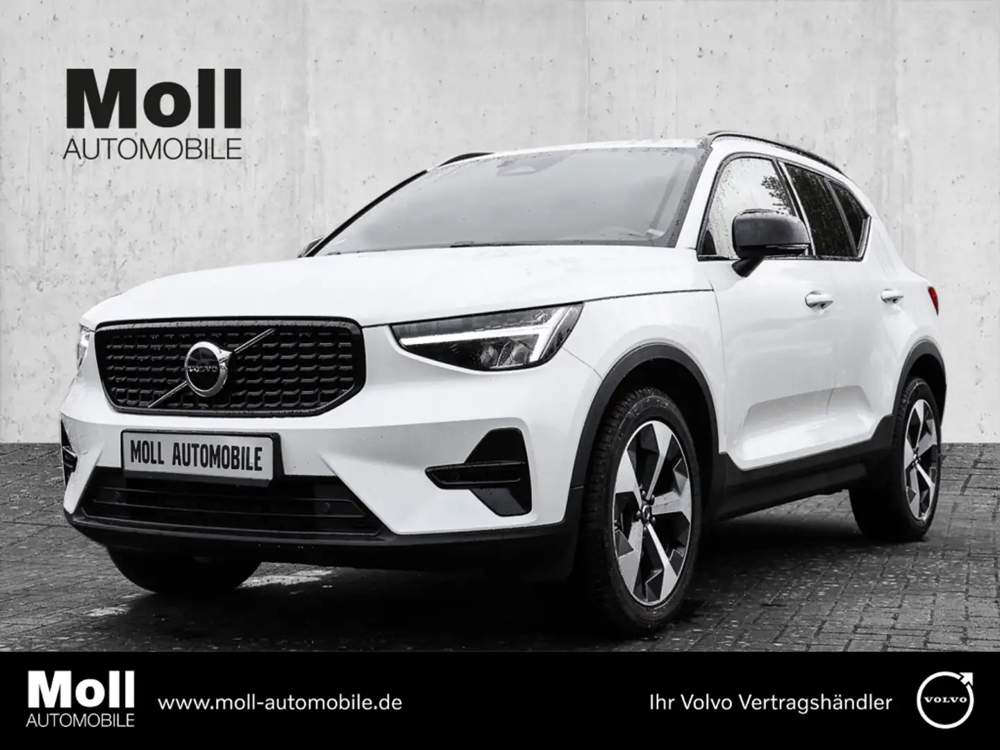 Volvo XC40 Plus Dark 2WD B3 EU6d digitales Cockpit Memory Sit Weiß - 1