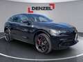 Alfa Romeo Stelvio Quadrifoglio Rot - thumbnail 6