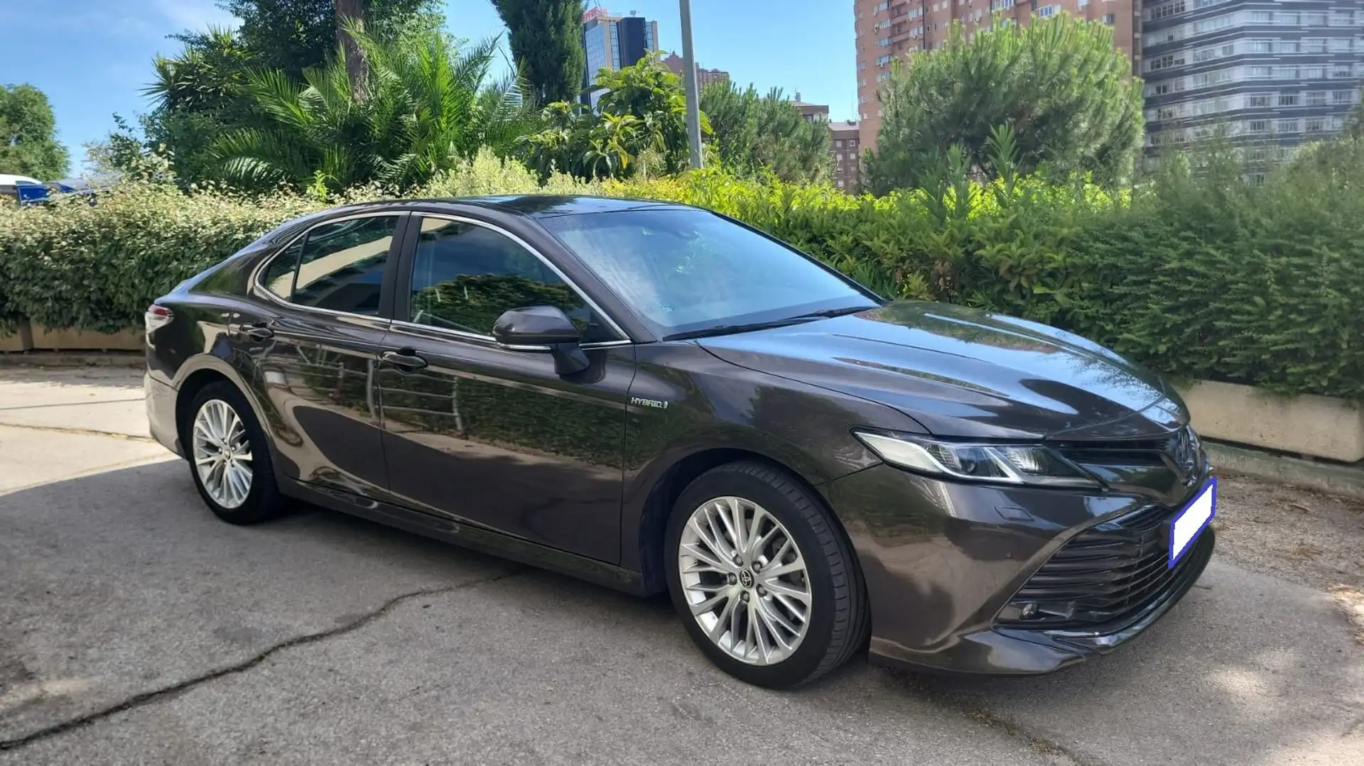 Toyota Camry Camry Híbrido Advanced Aut. Advanced Brun - 1