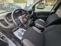 Fiat Panda 1.0 firefly hybrid PREZZO REALE - thumbnail 9