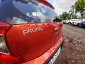 Kia Picanto 1.0 12V 5 porte AMT Urban Rosso - thumbnail 9