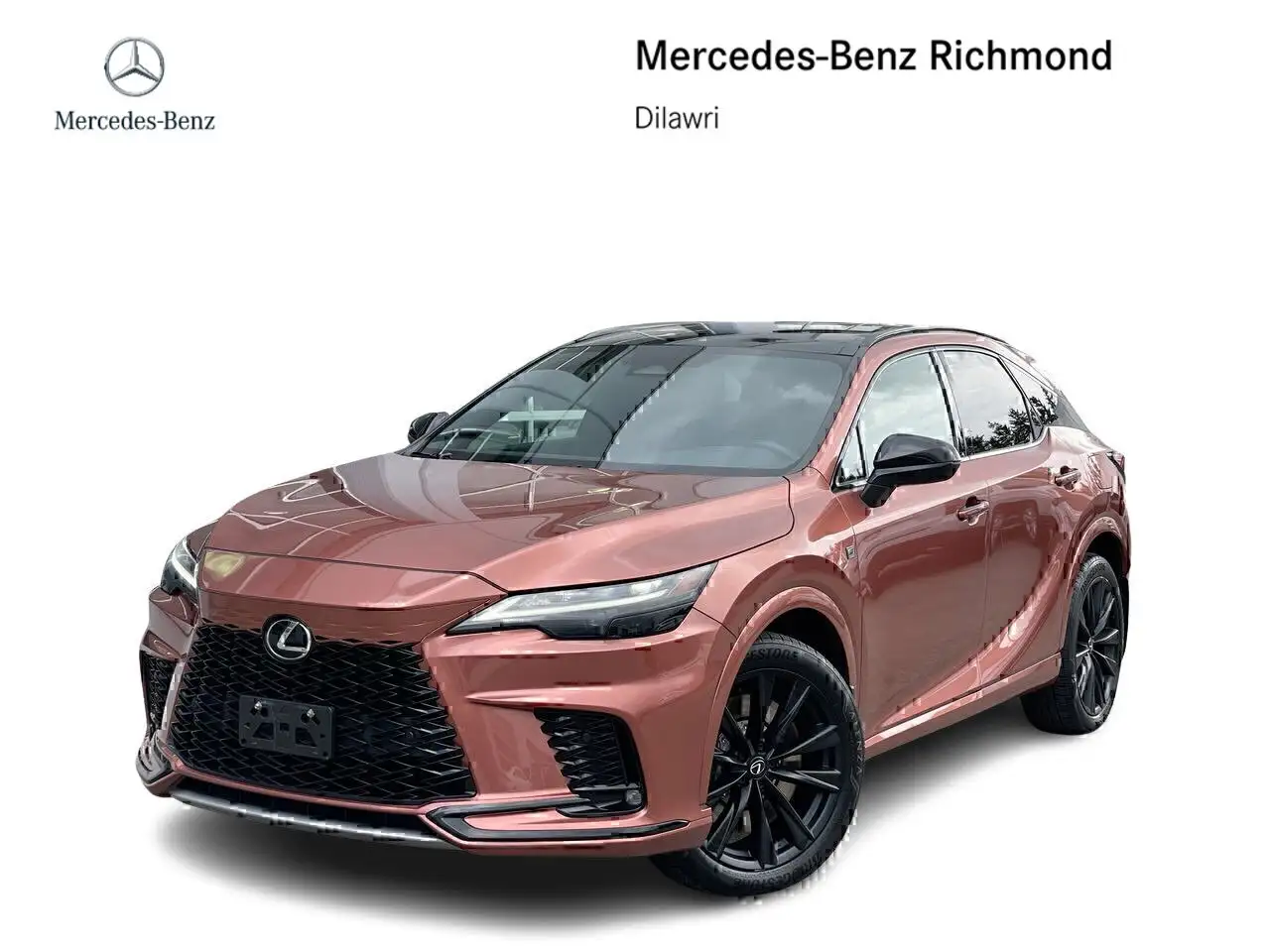 2023 Lexus RX