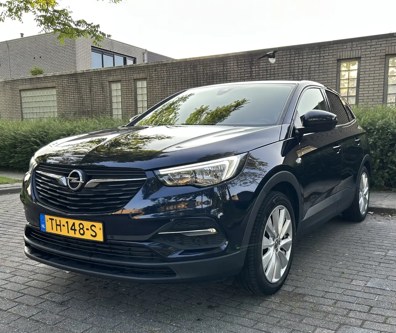 Opel Grandland X 1.2 Turbo Online Edition Blue - 1