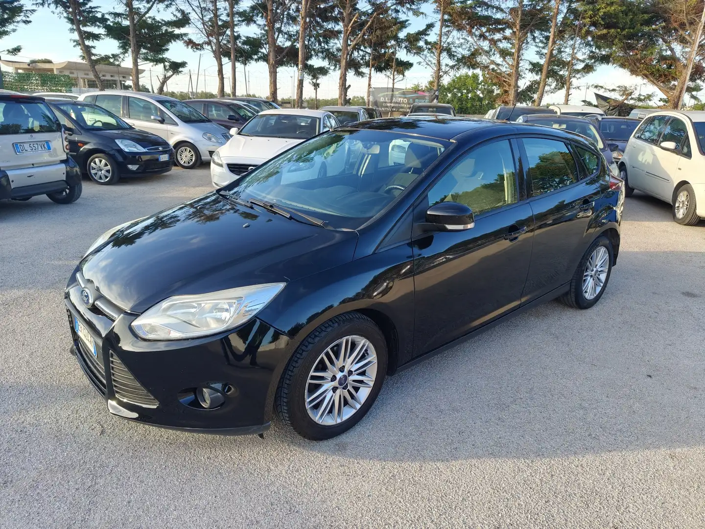 Ford Focus 5p 1.6 tdci Plus 115cv berlina - 1