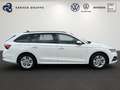 Skoda Octavia Combi 2.0TDI Ambition MATRIX+ACC+NAVI+++ Wit - thumbnail 3