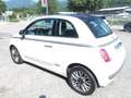 Fiat 500 1.2 Lounge EU6 CINGHIA NUOVA Bianco - thumbnail 3