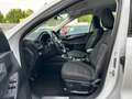 Ford Kuga 2.0 EcoBlue*Titanium*Kamera*Navi*Parkpilot* Weiß - thumbnail 12