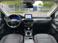 Ford Kuga 2.0 EcoBlue*Titanium*Kamera*Navi*Parkpilot* Weiß - thumbnail 11