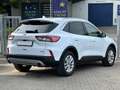 Ford Kuga 2.0 EcoBlue*Titanium*Kamera*Navi*Parkpilot* Weiß - thumbnail 6