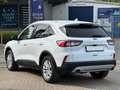 Ford Kuga 2.0 EcoBlue*Titanium*Kamera*Navi*Parkpilot* Weiß - thumbnail 3