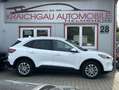 Ford Kuga 2.0 EcoBlue*Titanium*Kamera*Navi*Parkpilot* Weiß - thumbnail 7