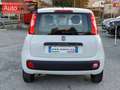 Fiat Panda 1.2 Easy 69 cv Neopatentati OK Bianco - thumbnail 13