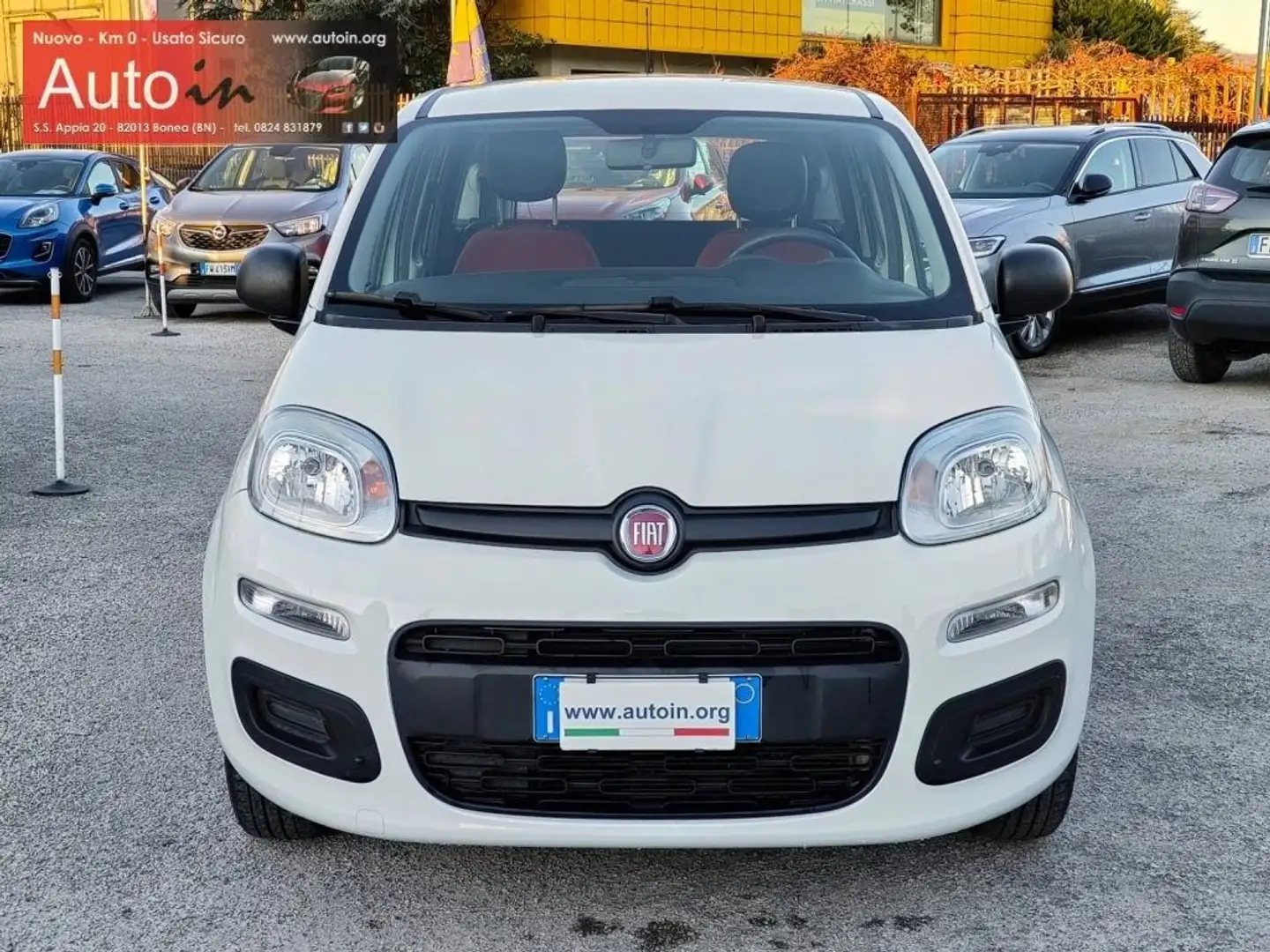 Fiat Panda 1.2 Easy 69 cv Neopatentati OK Bianco - 2