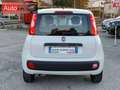 Fiat Panda 1.2 Easy 69 cv Neopatentati OK Bianco - thumbnail 12
