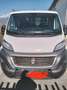 Fiat Ducato cassonato - thumbnail 1
