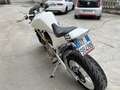 Buell S 1 white lightning Weiß - thumbnail 7