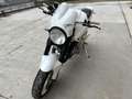 Buell S 1 white lightning Weiß - thumbnail 2
