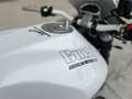 Buell S 1 white lightning Weiß - thumbnail 17