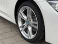 BMW 320 3 Lim. 320d M Sport Step.LED Nav RFK Leder Braun Weiß - thumbnail 10