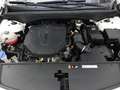 Kia Sorento 2,2 CRDi SCR AWD "Upgrade" DCT *7 SITZE, LED, N... Weiß - thumbnail 28