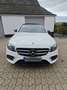 Mercedes-Benz E 350 350e 9G-TRONIC *AMG Line *PANO *19" *Kamera Weiß - thumbnail 3