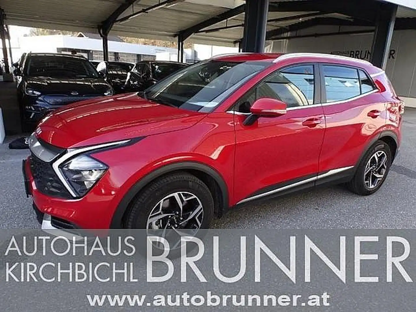 Kia Sportage 1,6 CRDI 48V Silber Rouge - 1