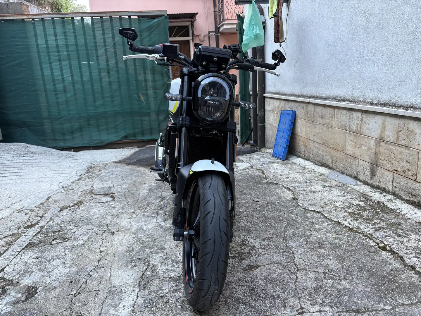 Benelli Leoncino - 2