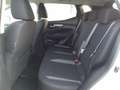 Nissan Qashqai Business 1.5 dci 115cv NAV+RETROCAM. Bianco - thumbnail 11
