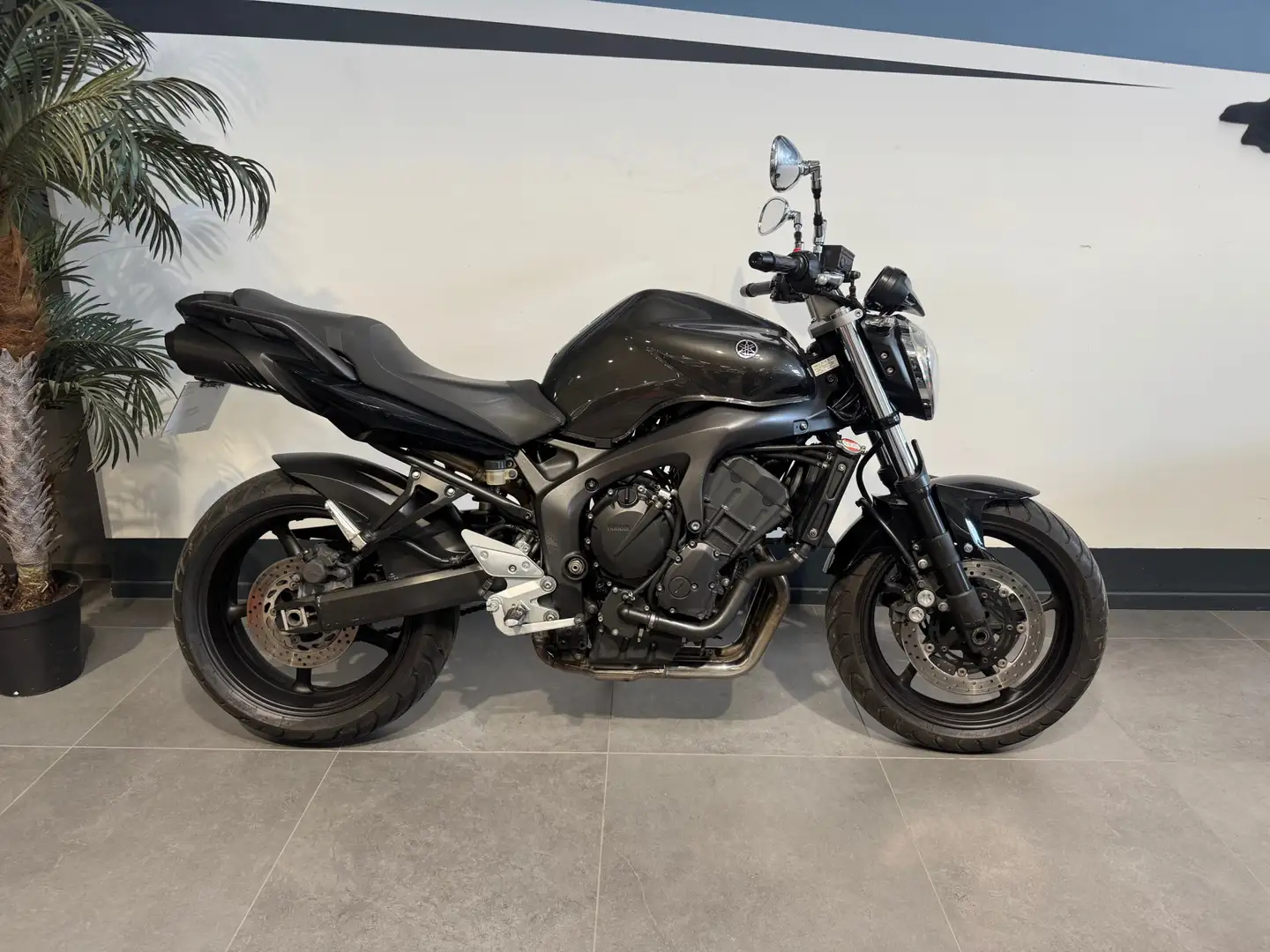 Yamaha FZ 6 - 1
