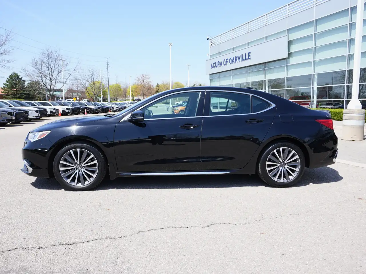Acura TLX photo Acura TLX
