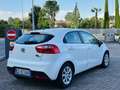 Kia Rio 5p 1.2 City eco-dynamics gpl - thumbnail 4