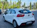Kia Rio 5p 1.2 City eco-dynamics gpl - thumbnail 5