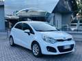 Kia Rio 5p 1.2 City eco-dynamics gpl - thumbnail 2