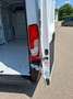 Citroen Jumper KAWA 35 L3H2 Control BlueHDi 140 PS Weiß - thumbnail 13