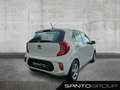 Kia Picanto Picanto 1.0 Edition 7 (EURO 6d) Klima/MF-Lenkrad Weiß - thumbnail 4