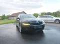 Skoda Octavia Octavia Combi 2,0 Elegance TDI Green tec Schwarz - thumbnail 2