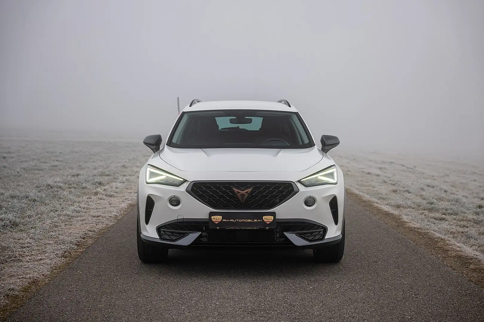 CUPRA Formentor 1,4 e-Hybrid 204 Cupra DSG, AHK, Kamera Weiß - 2