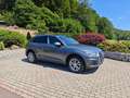 Audi Q5 Q5 2,0 TDI quattro S-tronic*AHK*Panodach* Grau - thumbnail 2