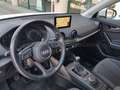 Audi Q2 Q2 1.6 tdi Business Alb - thumbnail 20
