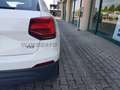 Audi Q2 Q2 1.6 tdi Business Alb - thumbnail 19