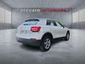 Audi Q2 Q2 1.6 tdi Business Alb - thumbnail 17
