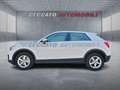Audi Q2 Q2 1.6 tdi Business Alb - thumbnail 2