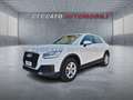 Audi Q2 Q2 1.6 tdi Business Alb - thumbnail 1