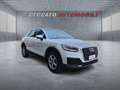 Audi Q2 Q2 1.6 tdi Business Alb - thumbnail 16