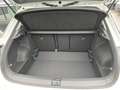 Volkswagen T-Roc Friends TDI Bianco - thumbnail 19
