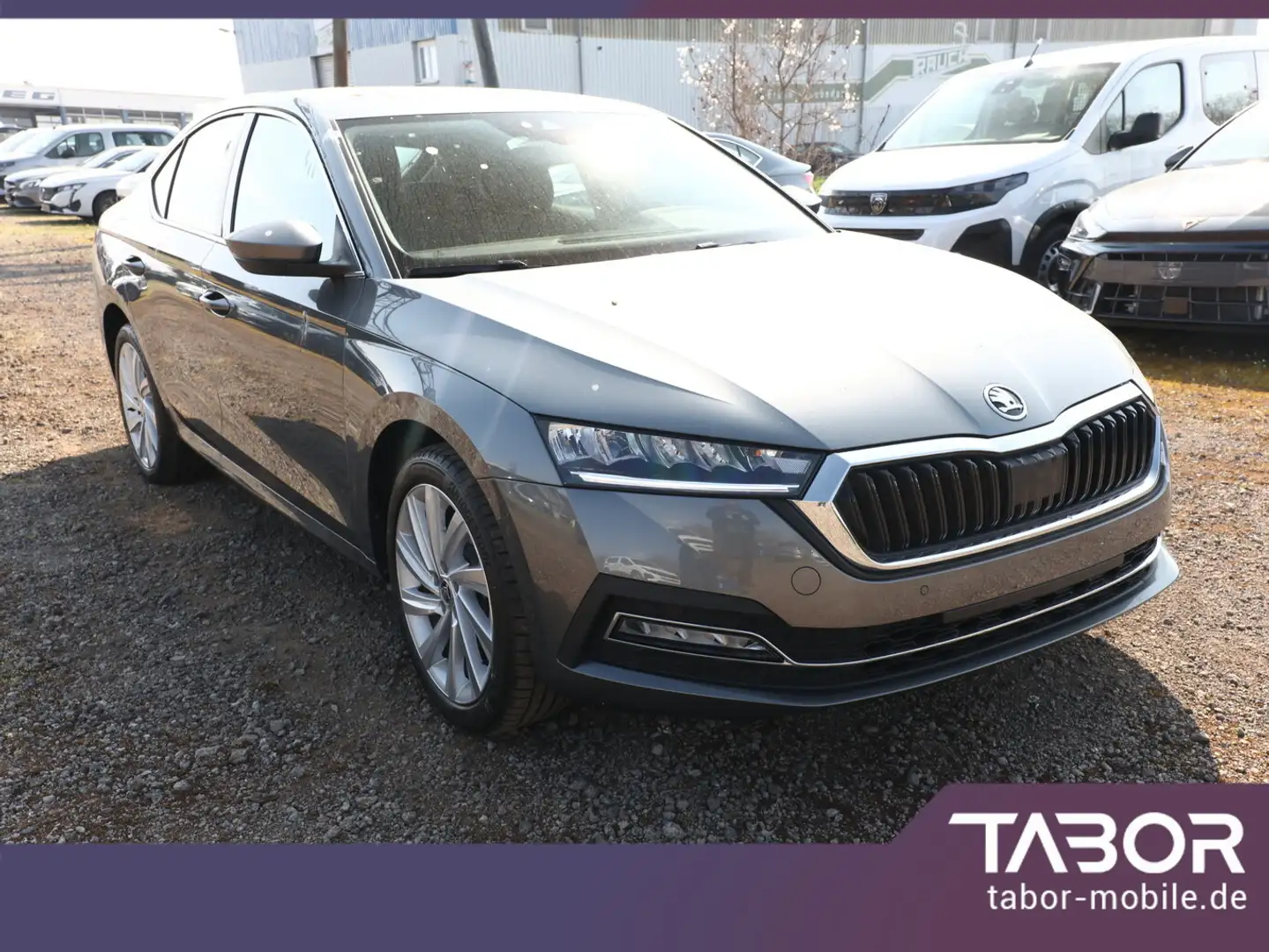 Skoda Octavia PHEV 204 DSG SideA ACC Kam SHZ Kessy 18Z Grau - 2