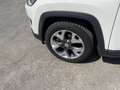 Jeep Compass 1.6 Multijet II 2WD Limited Bianco - thumbnail 5